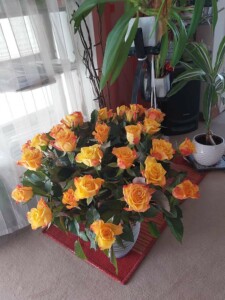 Blumenstrauß